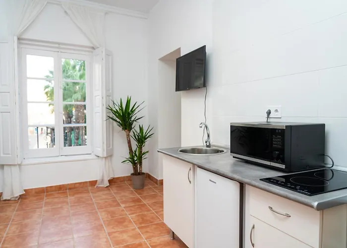 Centro Apartamento 2-D